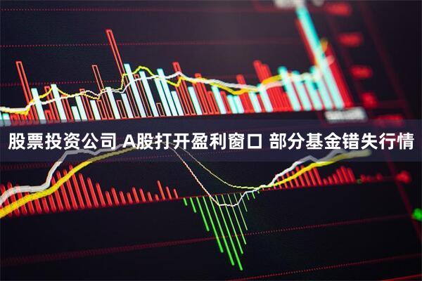股票投资公司 A股打开盈利窗口 部分基金错失行情