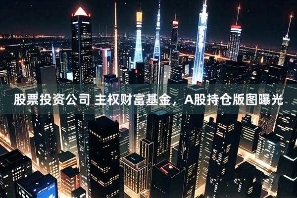 股票投资公司 主权财富基金，A股持仓版图曝光