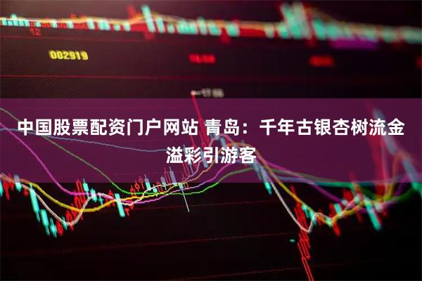 中国股票配资门户网站 青岛：千年古银杏树流金溢彩引游客