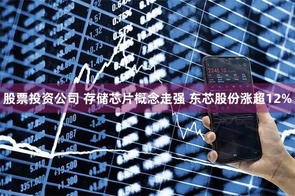 股票投资公司 存储芯片概念走强 东芯股份涨超12%